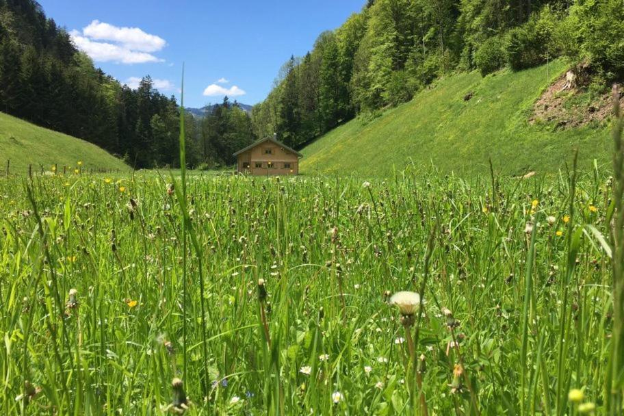 Villa Ferienhaus Rimsgrund Bezau Exterior foto